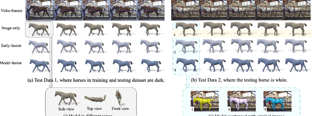 Figure 4 for CLHOP: Combined Audio-Video Learning for Horse 3D Pose and Shape Estimation