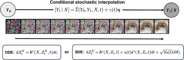 Figure 2 for Conditional Stochastic Interpolation for Generative Learning