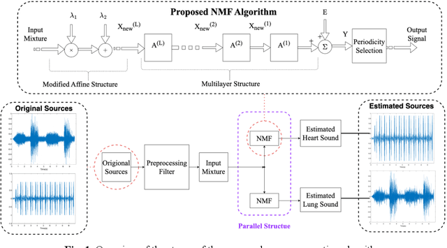 Figure 1 for A New Non-Negative Matrix Factorization Approach for Blind Source Separation of Cardiovascular and Respiratory Sound Based on the Periodicity of Heart and Lung Function