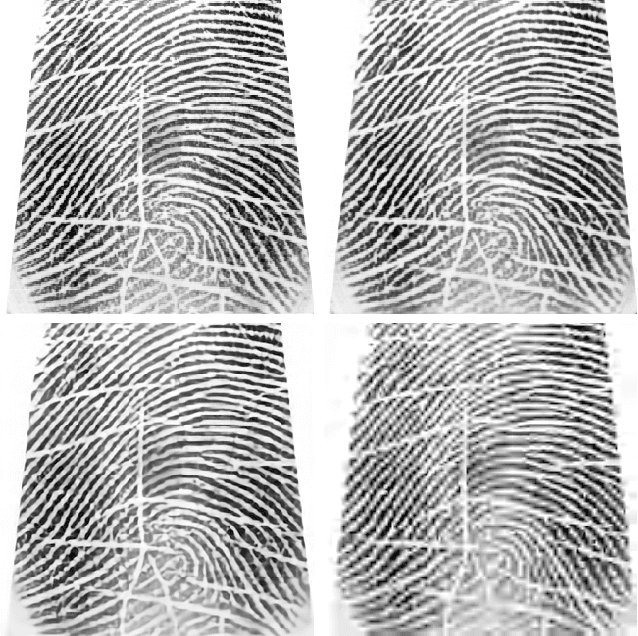 Figure 2 for Effectiveness of learning-based image codecs on fingerprint storage