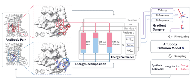 Figure 3 for Antigen-Specific Antibody Design via Direct Energy-based Preference Optimization