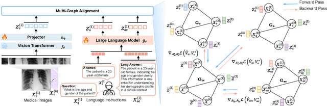 Figure 3 for LoGra-Med: Long Context Multi-Graph Alignment for Medical Vision-Language Model