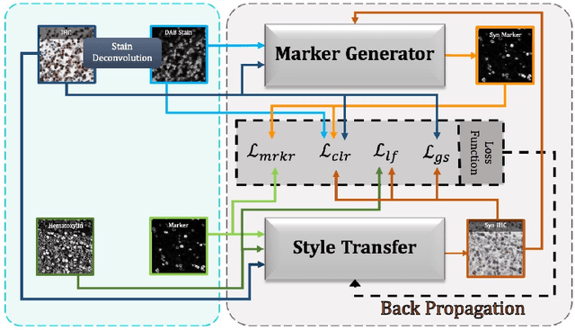 Figure 3 for An AI-Ready Multiplex Staining Dataset for Reproducible and Accurate Characterization of Tumor Immune Microenvironment