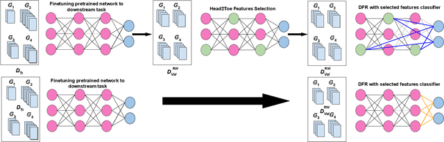 Figure 1 for Not Only the Last-Layer Features for Spurious Correlations: All Layer Deep Feature Reweighting