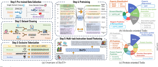 Figure 1 for BioT5+: Towards Generalized Biological Understanding with IUPAC Integration and Multi-task Tuning