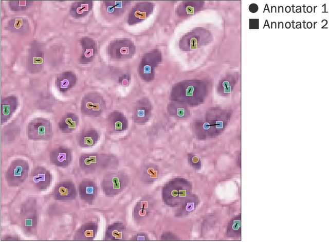 Figure 3 for Improved statistical benchmarking of digital pathology models using pairwise frames evaluation