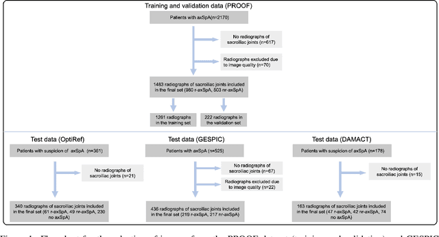 Figure 1 for Incorporating Anatomical Awareness for Enhanced Generalizability and Progression Prediction in Deep Learning-Based Radiographic Sacroiliitis Detection