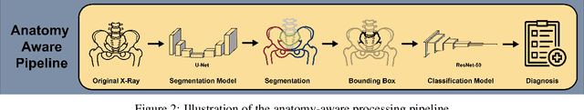 Figure 3 for Incorporating Anatomical Awareness for Enhanced Generalizability and Progression Prediction in Deep Learning-Based Radiographic Sacroiliitis Detection