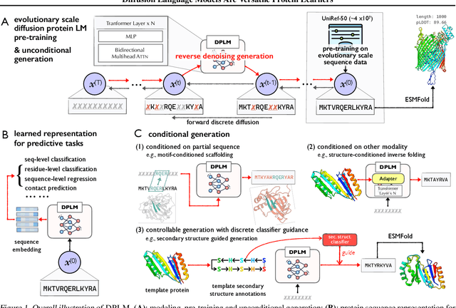 Figure 1 for Diffusion Language Models Are Versatile Protein Learners