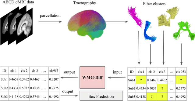 Figure 1 for White Matter Geometry-Guided Score-Based Diffusion Model for Tissue Microstructure Imputation in Tractography Imaging