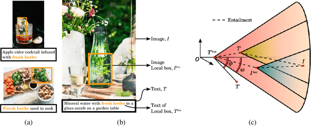 Figure 1 for Compositional Entailment Learning for Hyperbolic Vision-Language Models