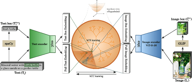 Figure 3 for Compositional Entailment Learning for Hyperbolic Vision-Language Models