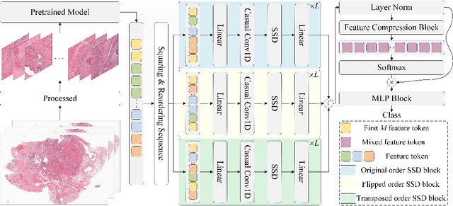 Figure 2 for Mamba2MIL: State Space Duality Based Multiple Instance Learning for Computational Pathology