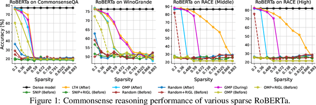 Figure 1 for Sparsity May Cry: Let Us Fail  Sparse Neural Networks Together!