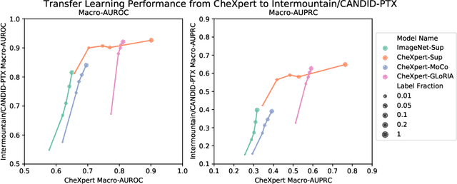 Figure 4 for How to Train Your CheXDragon: Training Chest X-Ray Models for Transfer to Novel Tasks and Healthcare Systems