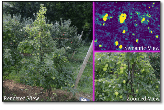 Figure 1 for FruitNeRF: A Unified Neural Radiance Field based Fruit Counting Framework