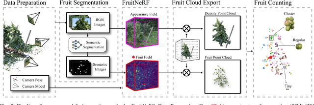 Figure 2 for FruitNeRF: A Unified Neural Radiance Field based Fruit Counting Framework