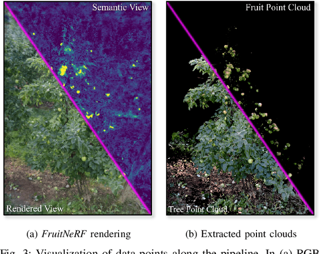 Figure 3 for FruitNeRF: A Unified Neural Radiance Field based Fruit Counting Framework