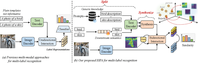 Figure 1 for SSPA: Split-and-Synthesize Prompting with Gated Alignments for Multi-Label Image Recognition