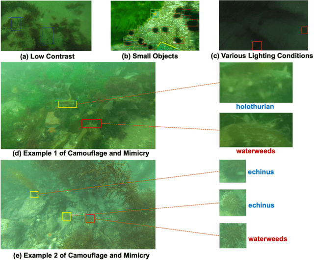 Figure 1 for Edge-guided Representation Learning for Underwater Object Detection