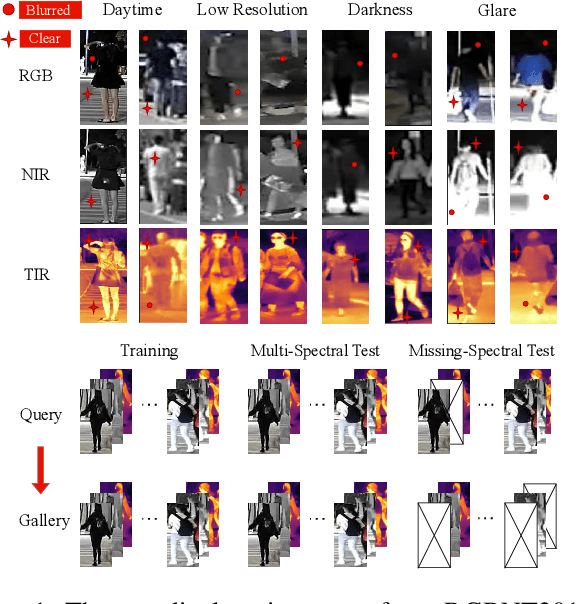 Figure 1 for TOP-ReID: Multi-spectral Object Re-Identification with Token Permutation