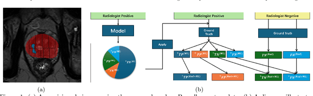 Figure 1 for AI-assisted prostate cancer detection and localisation on biparametric MR by classifying radiologist-positives