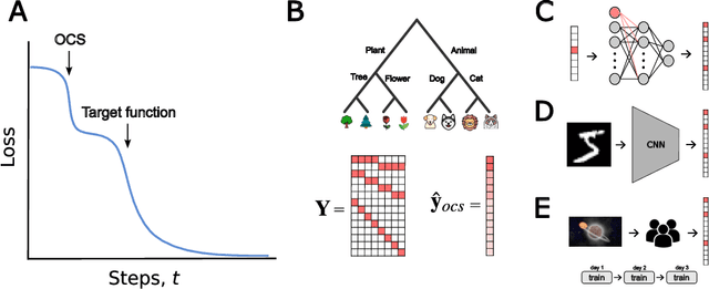 Figure 1 for Early learning of the optimal constant solution in neural networks and humans