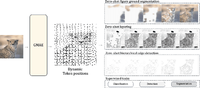 Figure 1 for Gaussian Masked Autoencoders