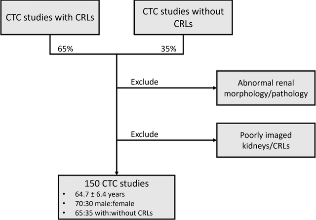 Figure 1 for Automatic Segmentation of the Kidneys and Cystic Renal Lesions on Non-Contrast CT Using a Convolutional Neural Network