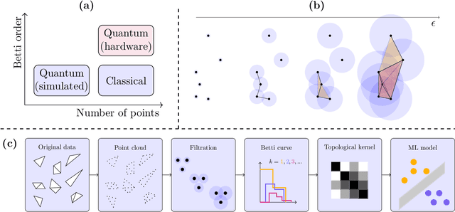 Figure 1 for Higher-order topological kernels via quantum computation