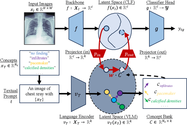 Figure 1 for Explaining Chest X-ray Pathology Models using Textual Concepts