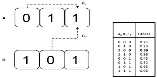 Figure 3 for Coevolving Boolean and Multi-Valued Regulatory Networks