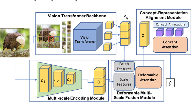 Figure 1 for Leveraging Scale-aware Representations for improved Concept-Representation Alignment in ViTs