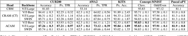 Figure 2 for Leveraging Scale-aware Representations for improved Concept-Representation Alignment in ViTs