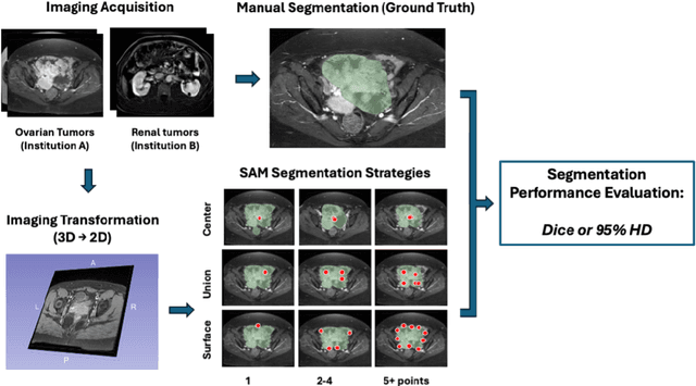 Figure 2 for Optimizing Prompt Strategies for SAM: Advancing lesion Segmentation Across Diverse Medical Imaging Modalities