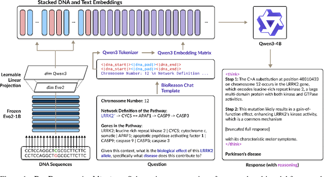 Figure 1 for BioReason: Incentivizing Multimodal Biological Reasoning within a DNA-LLM Model