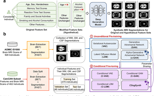 Figure 1 for Deep Generative Model-Based Generation of Synthetic Individual-Specific Brain MRI Segmentations