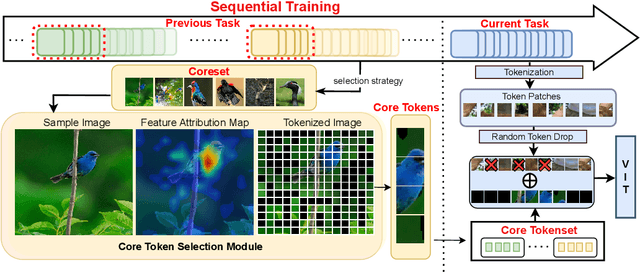 Figure 1 for Core Tokensets for Data-efficient Sequential Training of Transformers