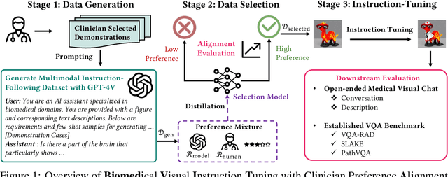 Figure 1 for Biomedical Visual Instruction Tuning with Clinician Preference Alignment