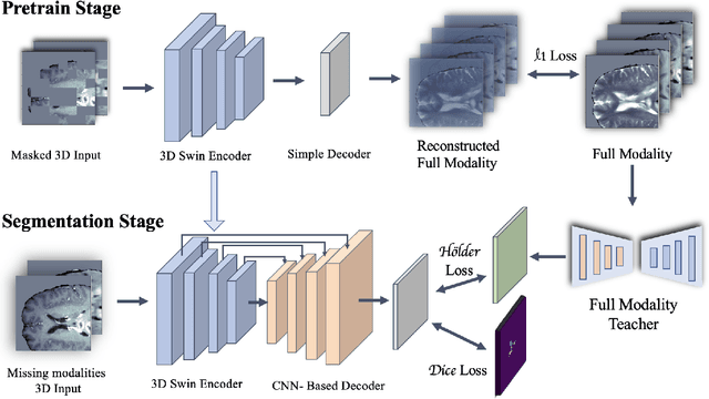 Figure 2 for Unveiling Incomplete Modality Brain Tumor Segmentation: Leveraging Masked Predicted Auto-Encoder and Divergence Learning