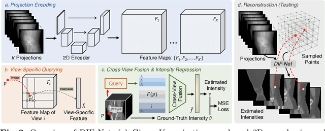 Figure 2 for Learning Deep Intensity Field for Extremely Sparse-View CBCT Reconstruction