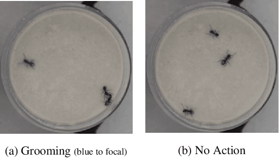 Figure 3 for Smoke and Mirrors in Causal Downstream Tasks