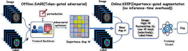 Figure 1 for Keep the Core: Adversarial Priors for Significance-Preserving Brain MRI Segmentation