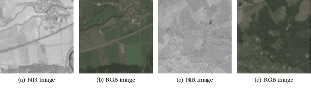 Figure 3 for Tighnari: Multi-modal Plant Species Prediction Based on Hierarchical Cross-Attention Using Graph-Based and Vision Backbone-Extracted Features