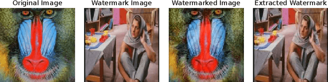 Figure 2 for IWN: Image Watermarking Based on Idempotency