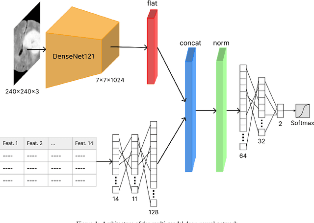 Figure 1 for Detecting Brain Tumors through Multimodal Neural Networks