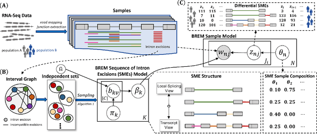 Figure 1 for Bayesian Reconstruction and Differential Testing of Excised mRNA