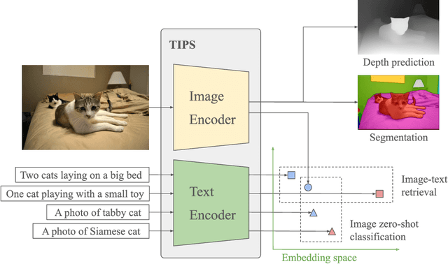 Figure 1 for TIPS: Text-Image Pretraining with Spatial Awareness