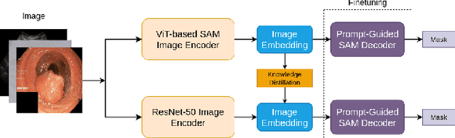 Figure 1 for Efficient Knowledge Distillation of SAM for Medical Image Segmentation