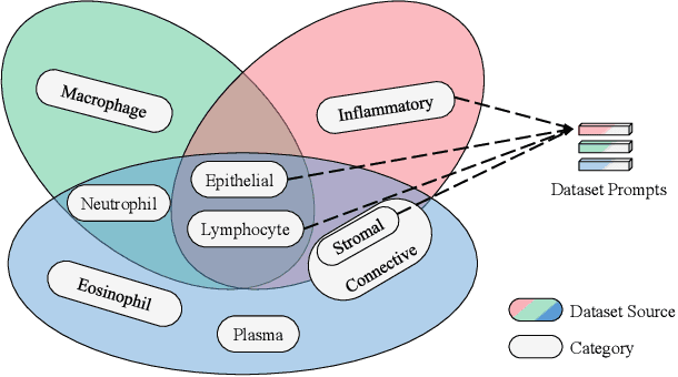 Figure 1 for UniCell: Universal Cell Nucleus Classification via Prompt Learning